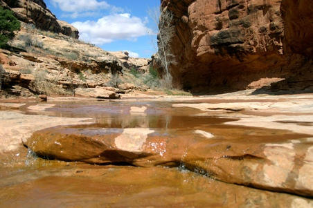 Enlarge photo 50