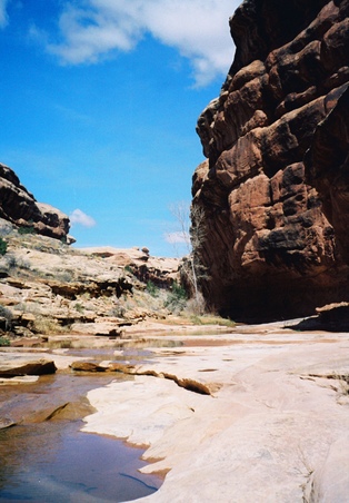 Enlarge photo 51