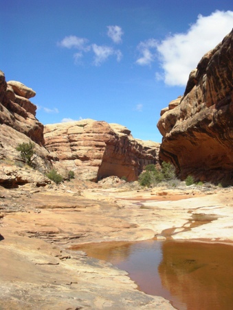 Enlarge photo 54