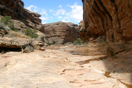 Enlarge photo 55