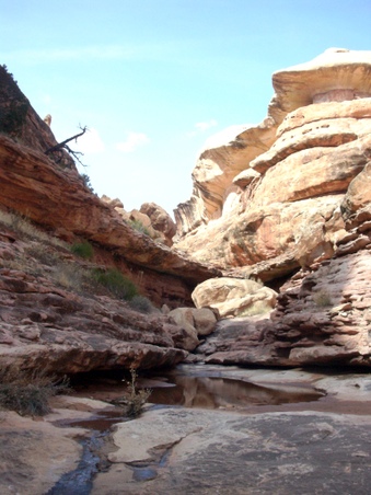 Enlarge photo 59