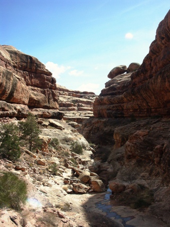 Enlarge photo 61