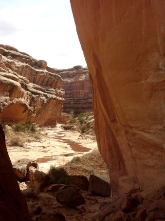 Enlarge photo 67