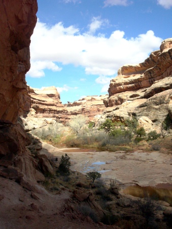 Enlarge photo 68