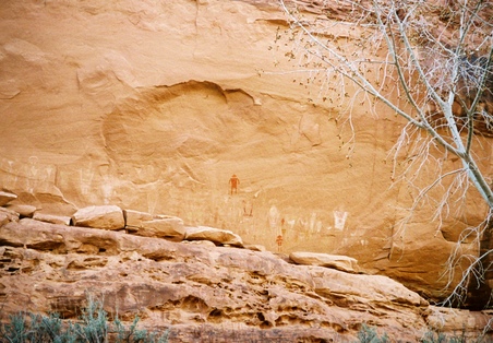 Enlarge photo 71