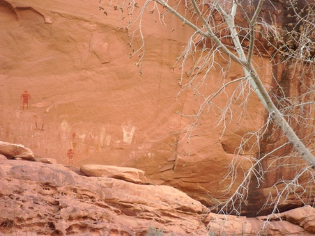 Enlarge photo 75