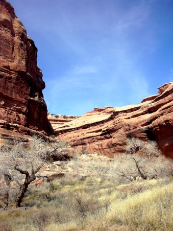 Enlarge photo 82