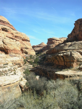 Enlarge photo 83