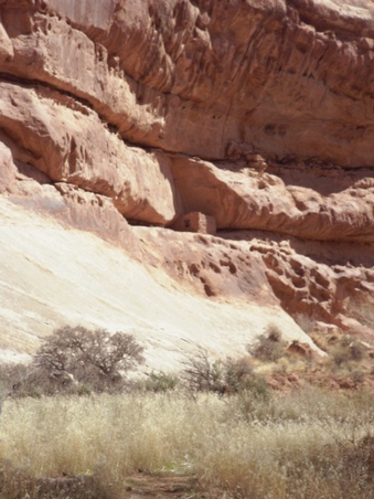 Enlarge photo 87