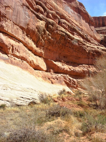 Enlarge photo 89