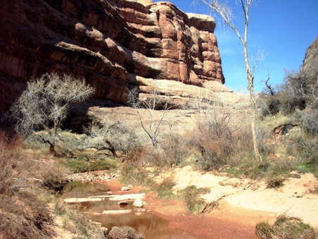 Enlarge photo 93