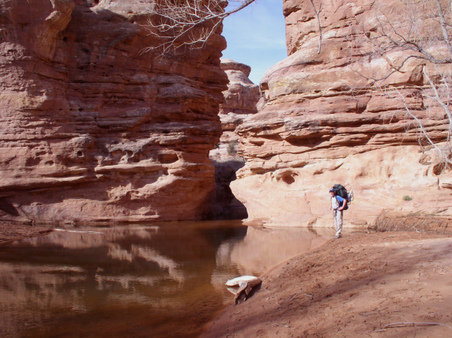 Enlarge photo 95