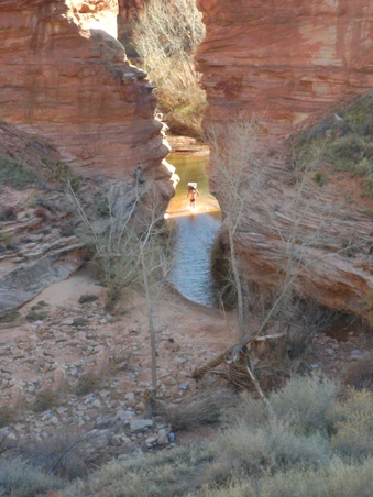 Enlarge photo 98
