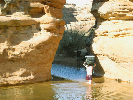 Enlarge photo 107