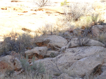Enlarge photo 114