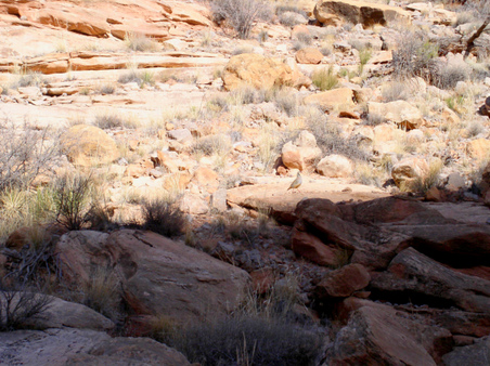Enlarge photo 115