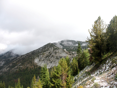 Enlarge photo 19