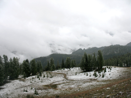 Enlarge photo 21