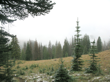 Enlarge photo 25