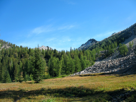 Enlarge photo 41