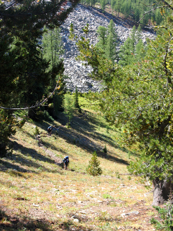 Enlarge photo 42