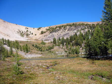 Enlarge photo 48