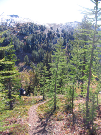 Enlarge photo 50