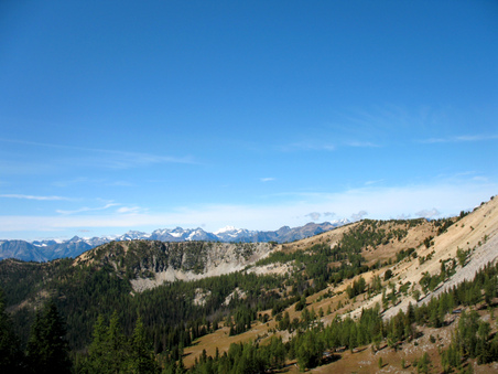 Enlarge photo 52