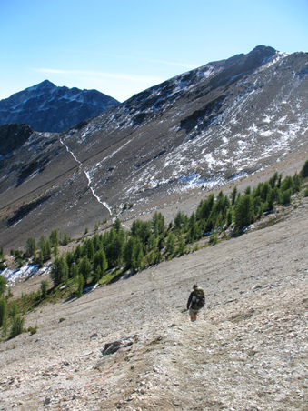 Enlarge photo 60