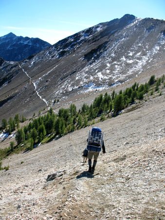 Enlarge photo 61