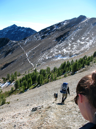 Enlarge photo 62