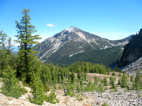 Enlarge photo 65