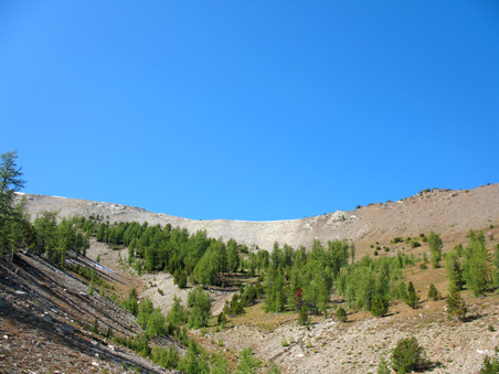 Enlarge photo 66