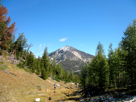 Enlarge photo 67