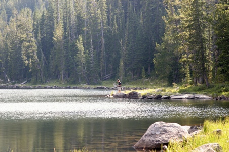 Enlarge photo 12