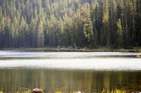 Enlarge photo 13