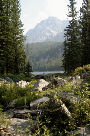 Enlarge photo 17