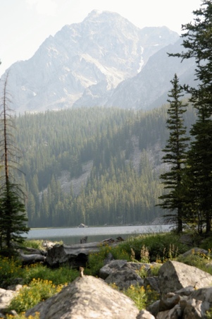 Enlarge photo 18