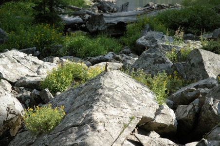 Enlarge photo 19