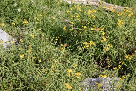 Enlarge photo 22
