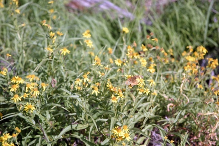 Enlarge photo 24