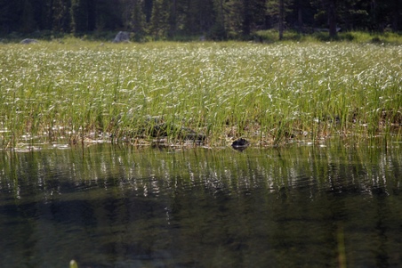 Enlarge photo 26