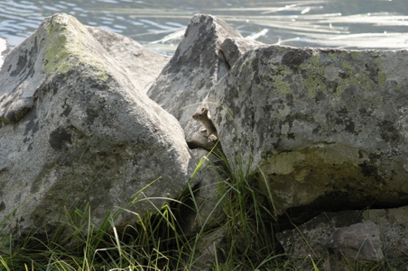 Enlarge photo 27
