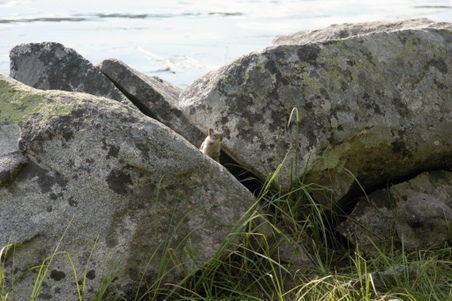 Enlarge photo 28