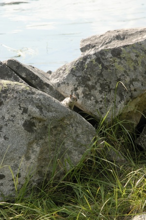 Enlarge photo 29