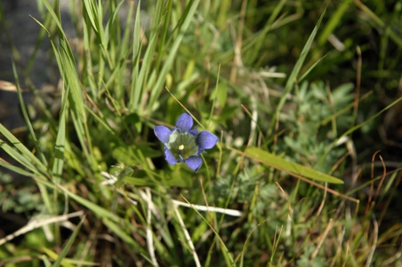 Enlarge photo 30