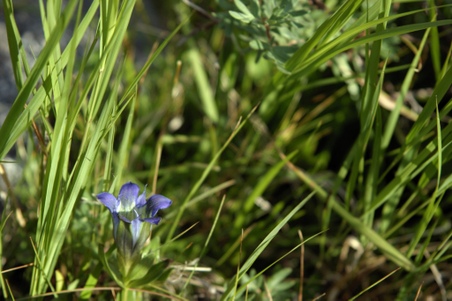 Enlarge photo 31