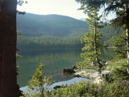 Enlarge photo 40