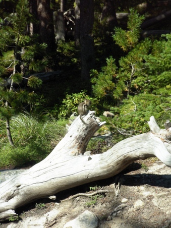 Enlarge photo 42