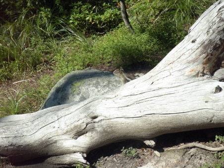 Enlarge photo 43